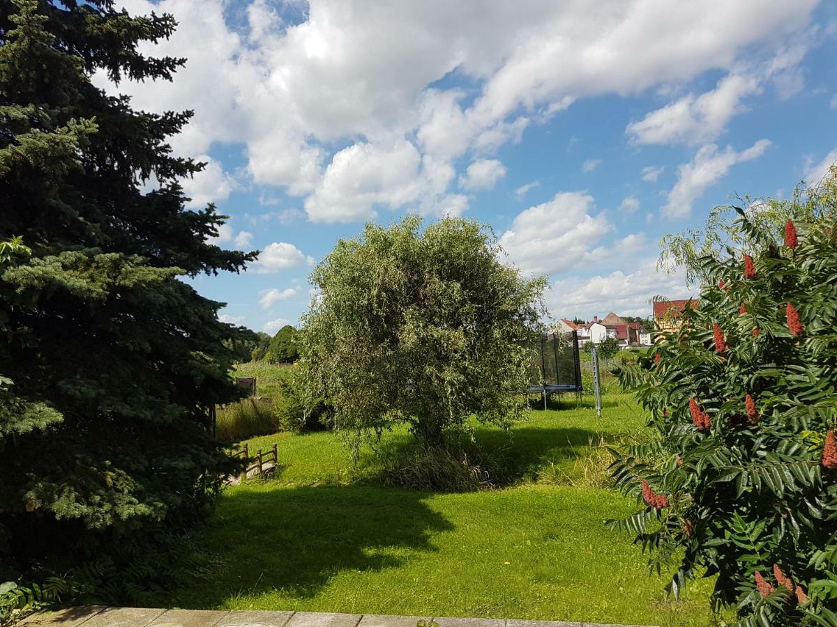 Fewo Am Moorteich Thale Exterior foto