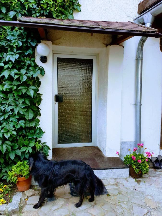 Fewo Am Moorteich Thale Exterior foto