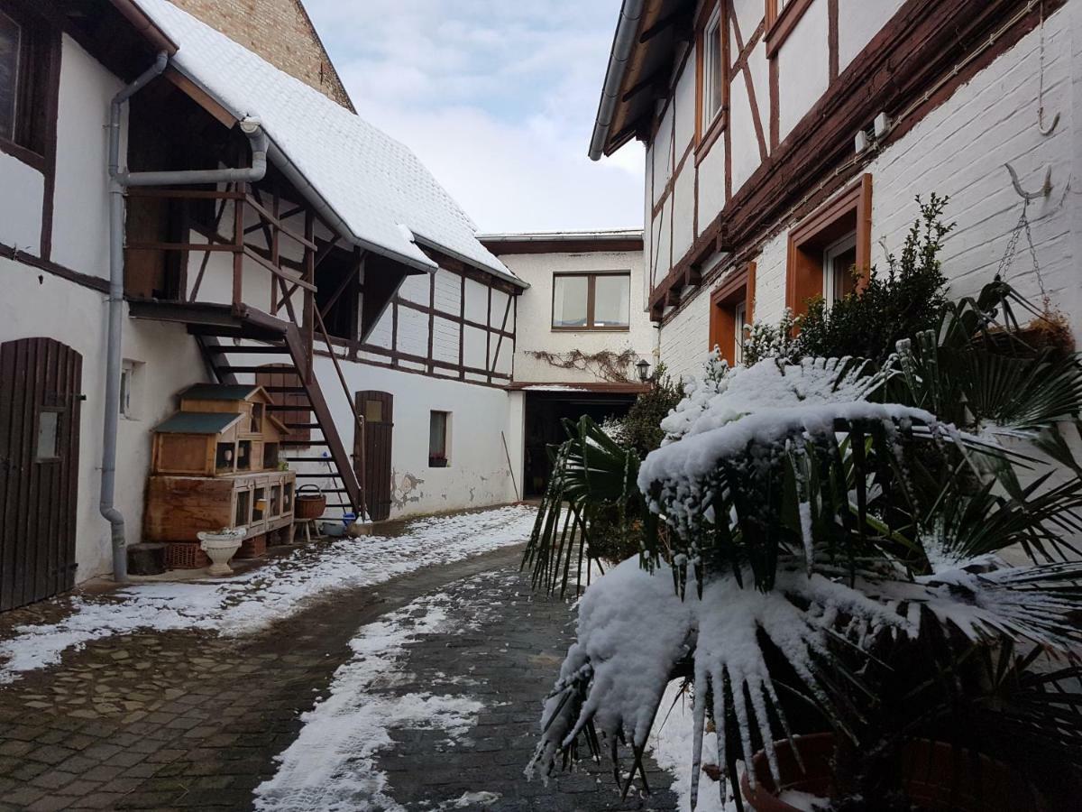Fewo Am Moorteich Thale Exterior foto